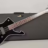 Ibanez ICB500