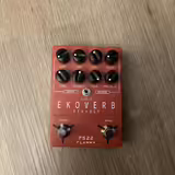 Flamma FS22 Ekoverb Delay & Reverb - V z&aacute;ruce
