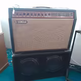 YAMAHA DG100