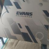 Evans 22" EQ3 Resonant Black