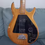 Gibson Ripper 1974