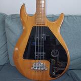 Gibson Ripper 1974