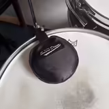 BFSD PUCK