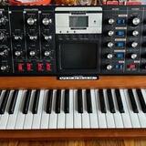 Moog Minimoog Voyager