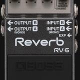 Boss RV-6  Reverb ( cena : 100 eur )
