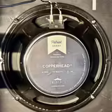 Eminence Ragin Cajun + Copperhead (10", 8 Ohm)