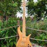 F bass BN5
