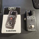 Ditto looper