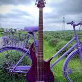 F bass 