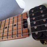 EVH Wolfgang Standard D Tuna