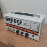 Orange Tiny Terror hlava
