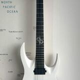 Washburn PX-Solar 160WHM 