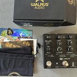 Walrus Audio Etherealizer - boutique multiefekt 
