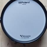 Roland PDA100L.