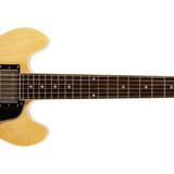 EPIPHONE DOT 339 NATURE