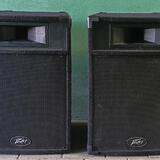 Peavey PRO15