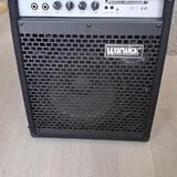 Warwick BC 40