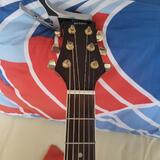 Carlos guitars ag 40