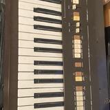 Hohner P 100
