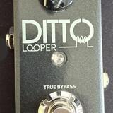 Ditto Looper