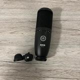 AKG P120