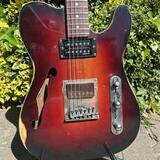 Partcaster tele thinline