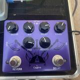 caline cp 80
