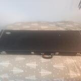 Pouzdro Rock Case by Warwick