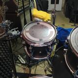 Tomtom 8" PDP by DW Collectors Maple Shell