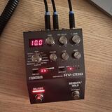 Boss RV-200