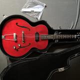 Epiphone Inspired by "1966" Century (E422T) + pevný kufr 