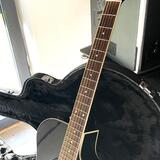 Prodám YAMAHA APX 500