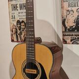 TAKAMINE "GN30" Elektroakustická Kytara (4 měsíce starý) 
