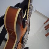 Epiphone ES-339