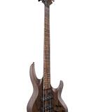 ESP LTD B-1004 MS NS