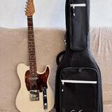 VÝHODNÉ Godin Stadium Pro Telecaster