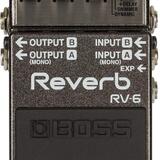 Boss RV-6