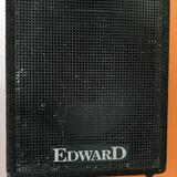 2x reprobox Edward 250W RMS