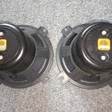 Isophon P30/37A  12" AlNiCo Vintage