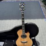 Yamaha APX 1200II NT