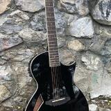 Esp Ltd TL-6 Black / thinline 2025