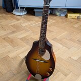 Seagull S8 elektoakustická mandolína