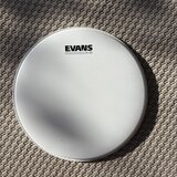 Evans G1 coated 12” - nová