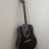 Epiphone DR-100 NA + ladička a kapodastr