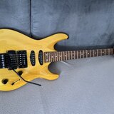 elektrickou kytaru Washburn Chicago Series – Made in Japan