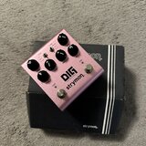 Strymon DIG V2