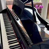 Prodám digitální mini křídlo Kurzweil KAG 100 v Záruce