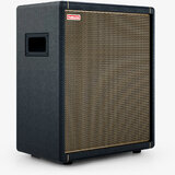 Koupím positive grid cabinet