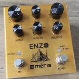 MERIS ENZO