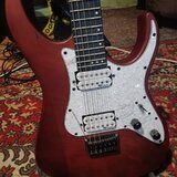  Schecter Banshee 6 SGR